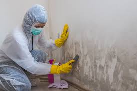 Best Mold Removal for HVAC Installations in Saltville, VA